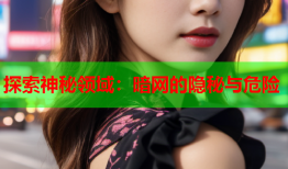 探索神秘领域：暗网的隐秘与危险