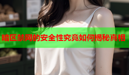 暗区禁网的安全性究竟如何揭秘真相