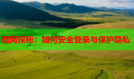 暗网探秘：如何安全登录与保护隐私