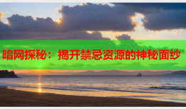 暗网探秘：揭开禁忌资源的神秘面纱