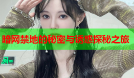 暗网禁地的秘密与诱惑探秘之旅