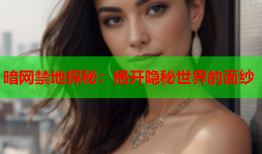 暗网禁地探秘：揭开隐秘世界的面纱