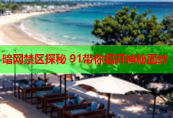 暗网禁区探秘 91带你揭开神秘面纱