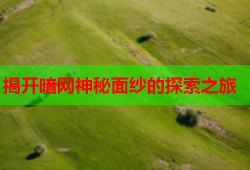 揭开暗网神秘面纱的探索之旅