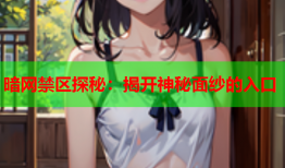 暗网禁区探秘：揭开神秘面纱的入口