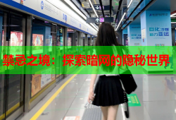 禁忌之境：探索暗网的隐秘世界