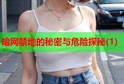 暗网禁地的秘密与危险探秘(1)