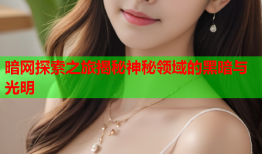 暗网探索之旅揭秘神秘领域的黑暗与光明
