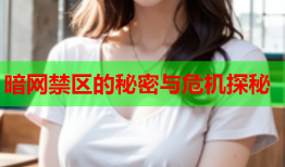 暗网禁区的秘密与危机探秘