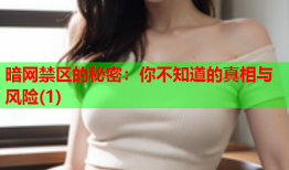 暗网禁区的秘密：你不知道的真相与风险(1)