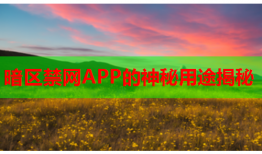 暗区禁网APP的神秘用途揭秘