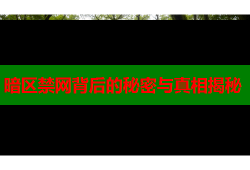 暗区禁网背后的秘密与真相揭秘