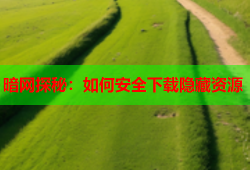 暗网探秘：如何安全下载隐藏资源