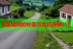 禁区暗网的秘密与危机探秘(1)