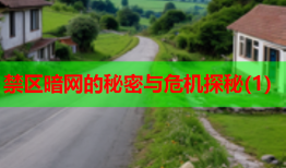禁区暗网的秘密与危机探秘(1)