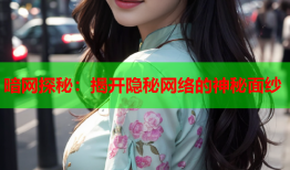 暗网探秘：揭开隐秘网络的神秘面纱