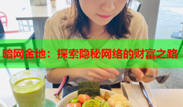 暗网金地：探索隐秘网络的财富之路