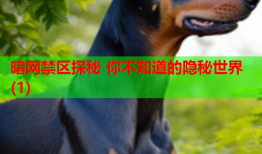 暗网禁区探秘 你不知道的隐秘世界(1)