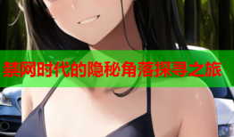 禁网时代的隐秘角落探寻之旅