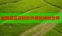 暗网禁区探秘软件揭秘神秘世界