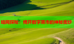 暗网探秘：揭开数字黑市的神秘面纱