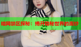 暗网禁区探秘：揭开隐秘世界的面纱