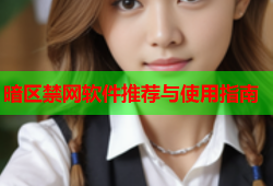 暗区禁网软件推荐与使用指南