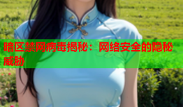 暗区禁网病毒揭秘：网络安全的隐秘威胁