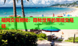 暗网交易揭秘：隐秘世界的黑暗交易链