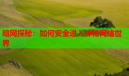 暗网探秘：如何安全进入神秘网络世界