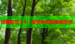 暗网禁区1.6：探索未知的黑暗世界
