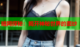 暗网探秘：揭开神秘世界的面纱
