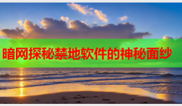 暗网探秘禁地软件的神秘面纱