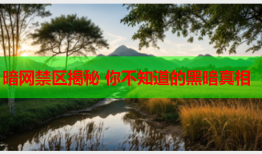 暗网禁区揭秘 你不知道的黑暗真相