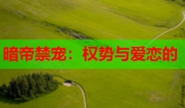 暗帝禁宠：权势与爱恋的