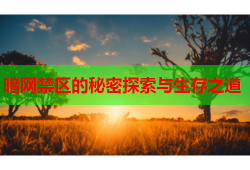 暗网禁区的秘密探索与生存之道