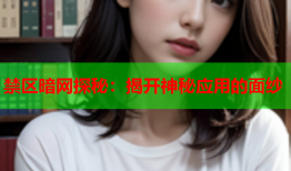 禁区暗网探秘：揭开神秘应用的面纱