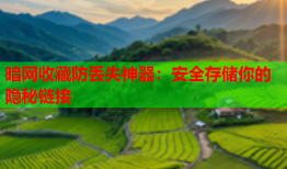 暗网收藏防丢失神器：安全存储你的隐秘链接