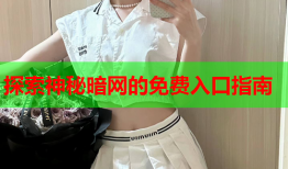 探索神秘暗网的免费入口指南