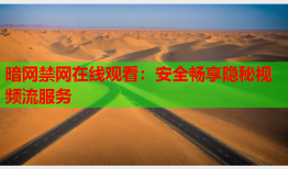 暗网禁网在线观看：安全畅享隐秘视频流服务