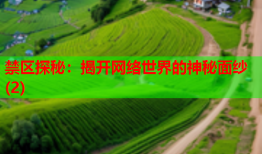 禁区探秘：揭开网络世界的神秘面纱(2)