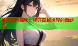 暗网禁地探秘：揭开隐秘世界的面纱(2)