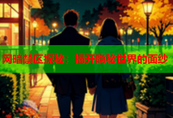 网暗禁区探秘：揭开隐秘世界的面纱