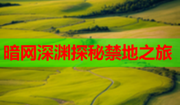 暗网深渊探秘禁地之旅
