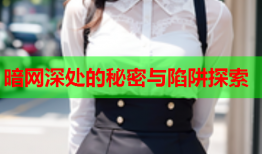 暗网深处的秘密与陷阱探索