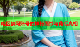 暗区禁网账号的神秘面纱与背后真相