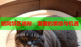 暗网禁区揭秘：潜藏的黑暗与机遇