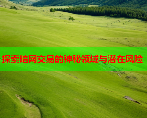 探索暗网交易的神秘领域与潜在风险