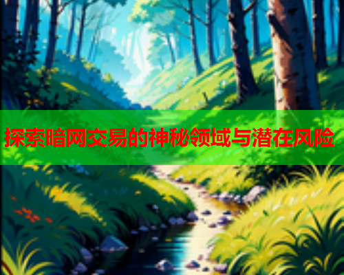 探索暗网交易的神秘领域与潜在风险