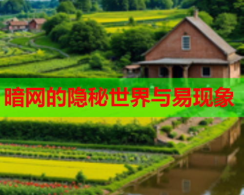 暗网的隐秘世界与易现象